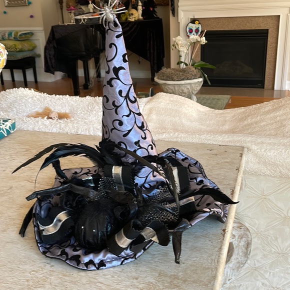 Spider Witch hat. Silver and blk. Large Halloween hat - Picture 3 of 7